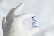 화이자 코로나 2가 백신 안전성·효과성 검증자문단 통과