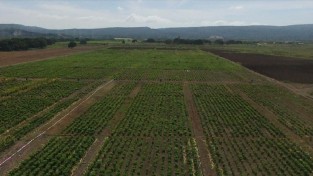 [자메이카] 농촌농업진흥청(RADA), ISO 9001:2015 품질경영시스템(QMS) 인증 획득