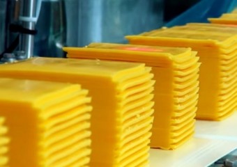 [인도] 마하라슈트라주 식품의약국(Maharashtra FDA), 맥도날드 상품명에 치즈를 잘못 표기해 소비자 기만 지적